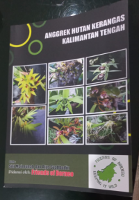 Image of Anggrek Hutan Kerangas Kalimantan Tengah