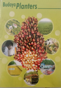 Image of Budaya Planters